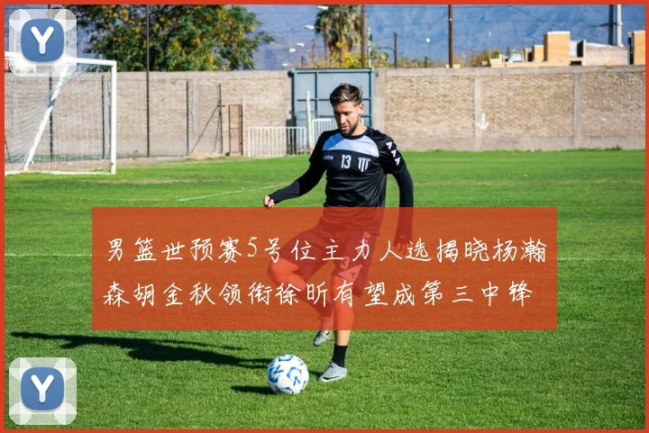 男篮世预赛5号位主力人选揭晓杨瀚森胡金秋领衔徐昕有望成第三中锋