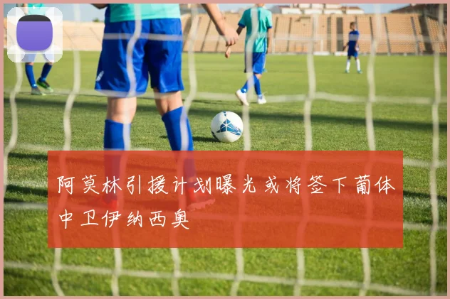 阿莫林引援计划曝光或将签下葡体中卫伊纳西奥